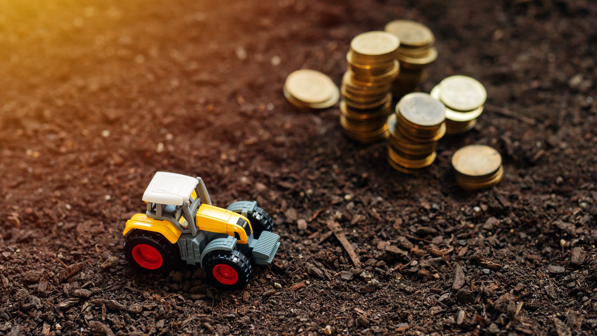 Financing Models, Investment and Risk Management