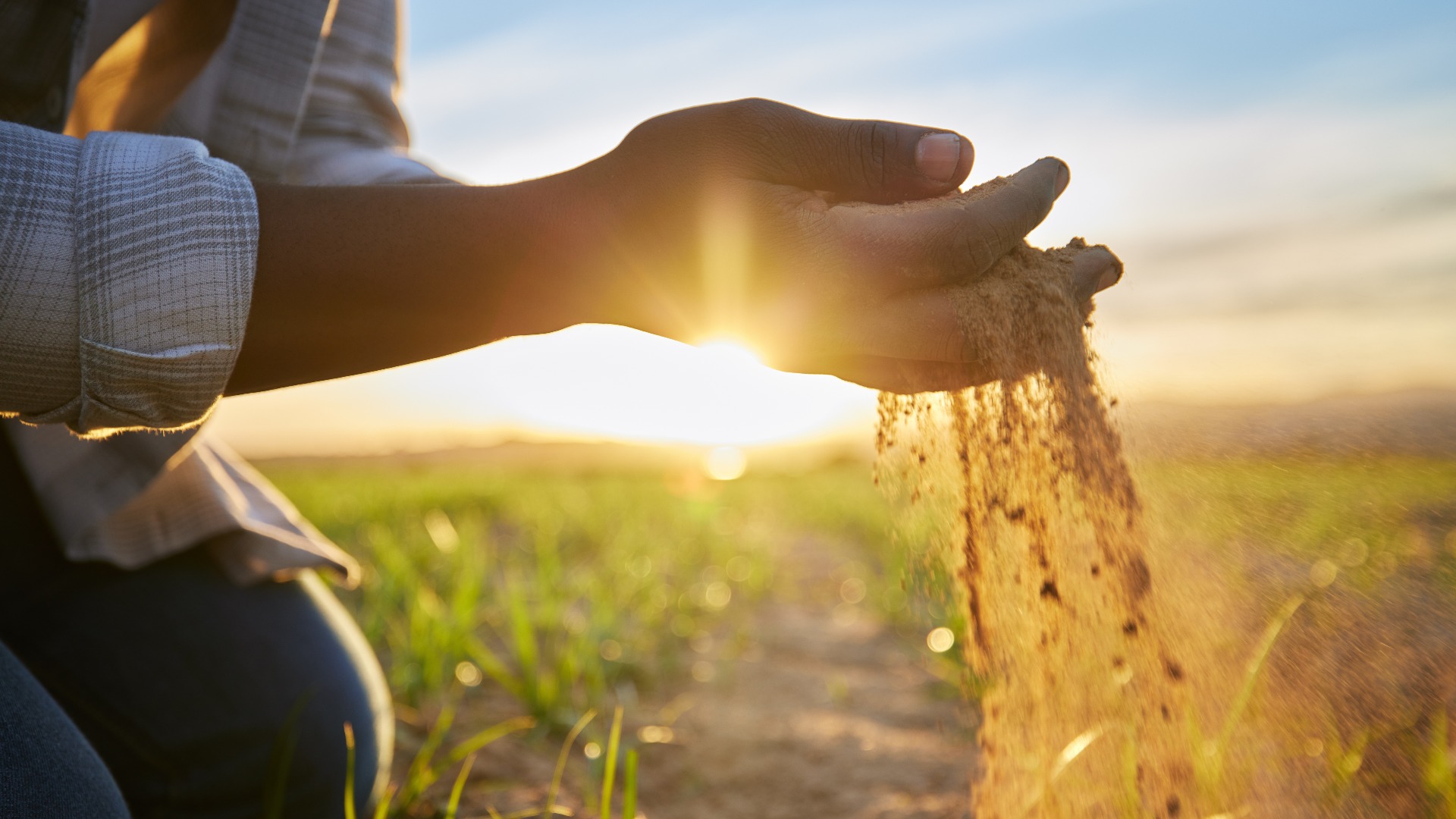 Making Out-grower Institutions Work: From Representation to Reliable Service Delivery