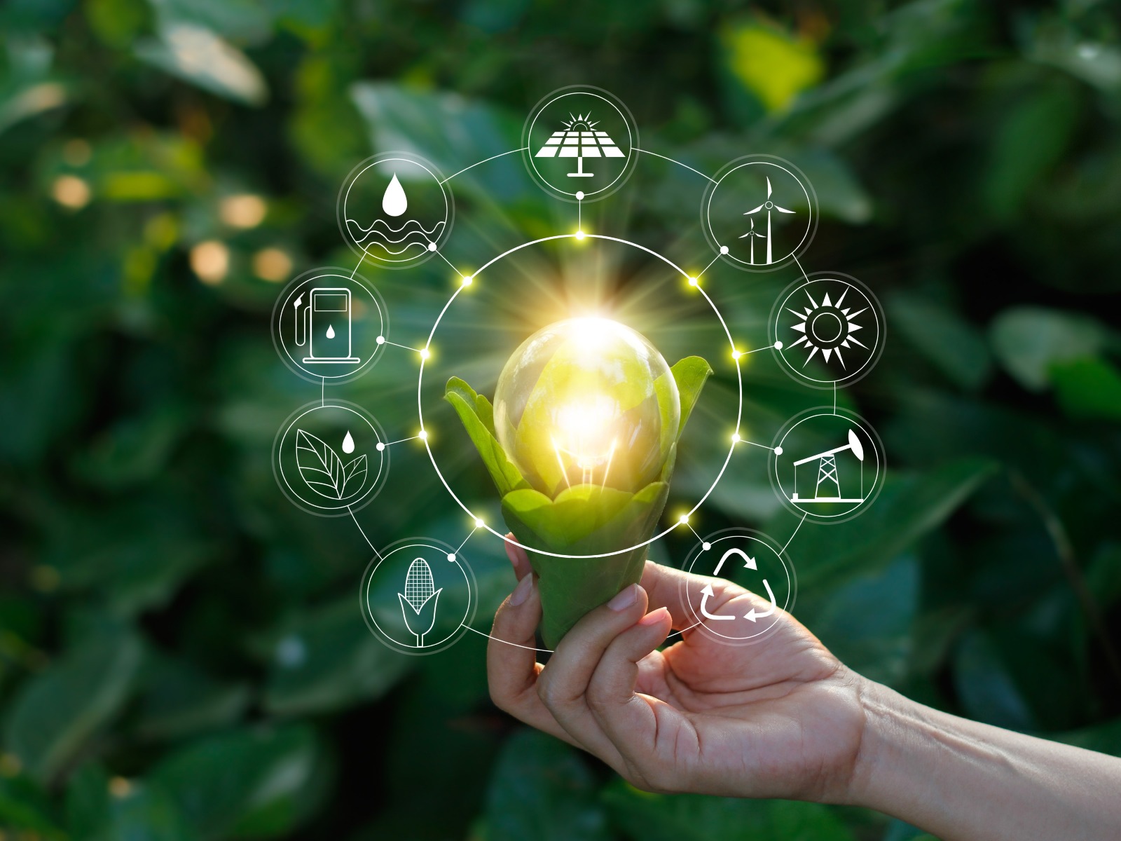 Sugar industry innovation